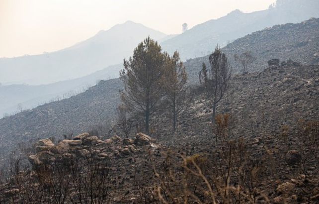 Alivio en Córdoba: Llegó la lluvia y apagó los incendios