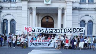 Foto gentileza&nbsp;Asamblea Paraná sin Agrotóxicos.&nbsp;