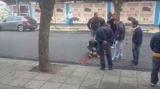 Pirotecnia cero: tras la muerte de un perro, insisten en la restricción