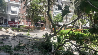 La tormenta se hizo sentir en el centro. Plaza Pringles tuvo que ser cerrada al paso de peatones por la caída de enormes ramas.&nbsp;