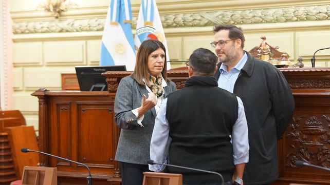 Clara García supervisó las tareas de adecuación en la Cámara baja para albergar la Convención Constituyente.