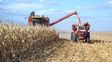 La estabilidad climática generó un intenso ritmo de cosecha en el centro y norte de Santa Fe