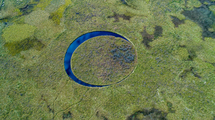 Todavía no hay certezas sobre cómo se originó El Ojo del Delta del Paraná, lugar que es casi inaccesible.