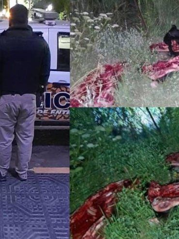 Detuvieron a un cuatrero con seis medias reses y un arma de fuego en Concordia