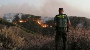 Un incendio sin control devora los bosques en la Gran Canaria