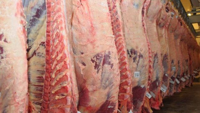 El gobierno dispuso suspender por 30 días las exportaciones de carne