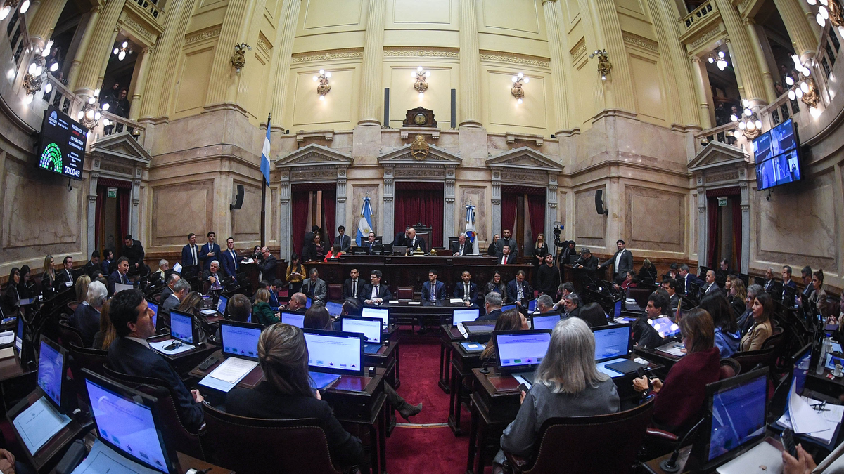 El Senado debate una versión acotada del proyecto de propiedad privada