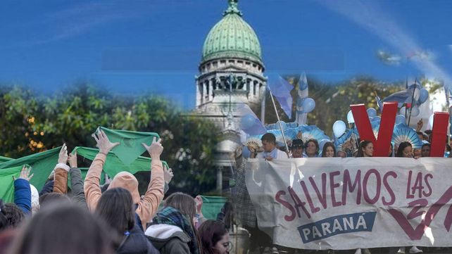 En VIVO desde el SENADO: Se debate la ley de aborto legal, seguro y gratuito