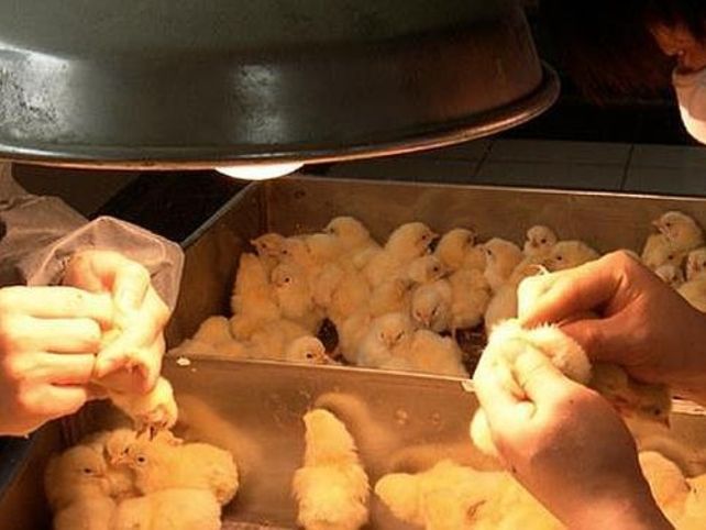 El trabajo que nadie quiere... ni por 4.500 euros al mes