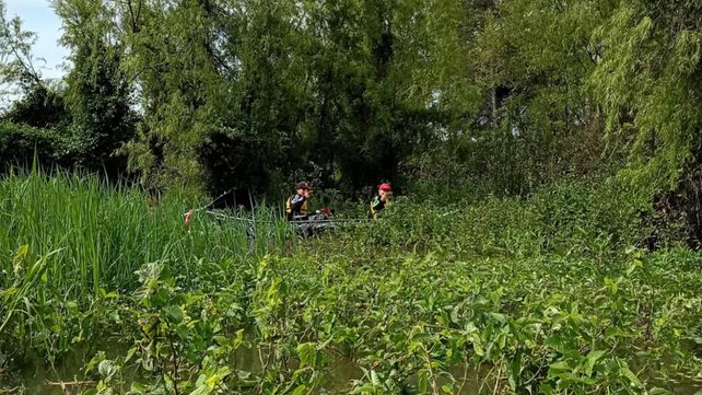 Ecenaa realizó una nueva limpieza en el Puerto Nuevo de Paraná
