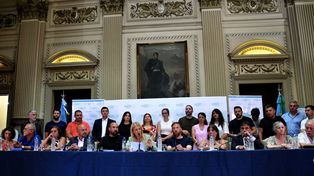 Senadores y diputados oficialistas sentaron posición en el Congreso.