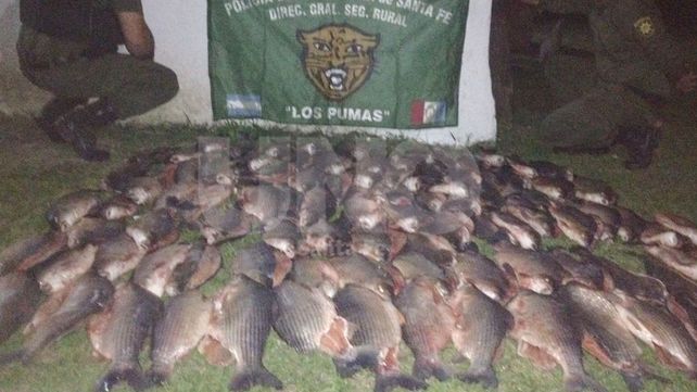 Secuestraron más de 120 especies depredadas en San Javier y Vera