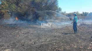 Grandes esfuerzos para combatir el fuego que se desató a la vera de la ruta nacional 168.