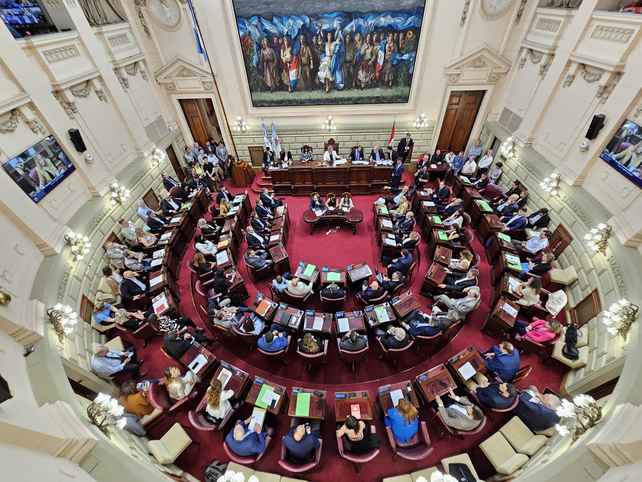 Los senadores y diputados nacionales recibirán en marzo un aumento de la dieta del 29