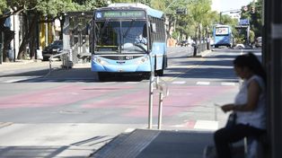 Movilidad en Rosario. El oficialismo ya prepara un proyecto para eliminar el Metrobus sobre avenida Alberdi en zona norte, ante las quejas de los comerciantes y vecinos.