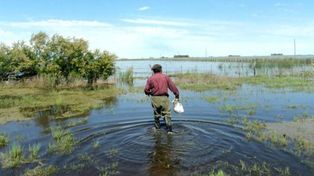 Emergencia agropecuaria: Nación envía 55 millones de pesos a Santa Fe