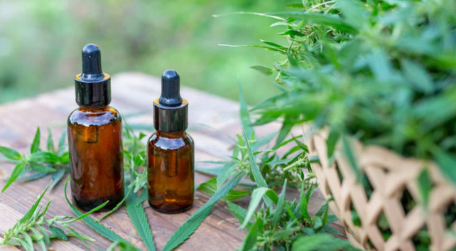 Reprocann, bajo sospecha: qué es y quiénes pueden registrarse al registro de cannabis medicinal