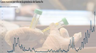 A 136 días del primer contagio, así fue la evolución diaria de casos