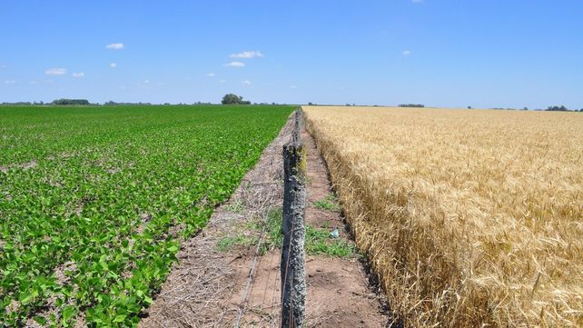 El crecimiento de los biológicos cambia el panorama del mercado de agroinsumos.