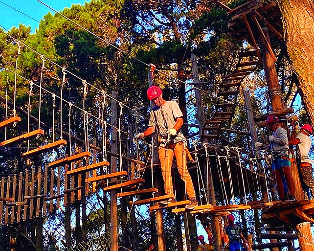 Los más audaces podrán animarse a caminar en las alturas y disfrutar de un bello paisaje natural.