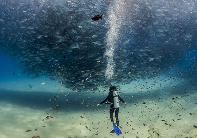 Las mejores fotos de National Geographic de 2015