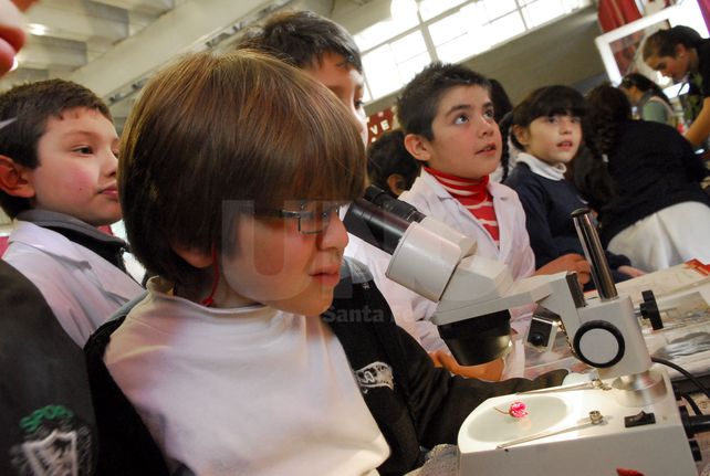 La feria de ciencias se palpita en las escuelas