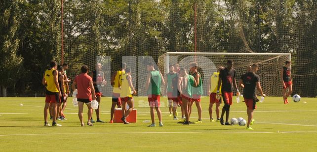 Colón pone manos a la obra en el Predio