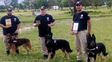 Tres perros santafesinos salieron campeones en un certamen de canes adiestrados en Córdoba