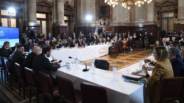 Senado: el oficialismo celebra que logró el dictamen