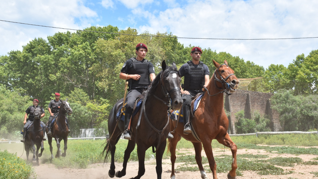 El gobierno provincial puso en marcha a la Brigada de Rescate Animal