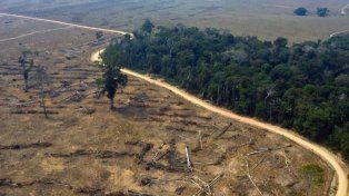 La deforestación en la Amazonia brasileña batió un nuevo récord. Un monitoreo satelital detectó 209 kilómetros cuadrados de bosques destruidos en Brasil