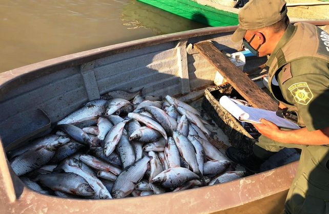 Secuestraron las especies