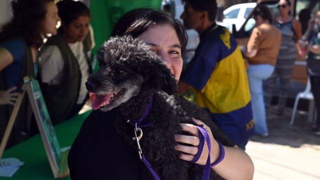 Imusa continúa con la campaña de sanidad animal en el Distrito Noroeste