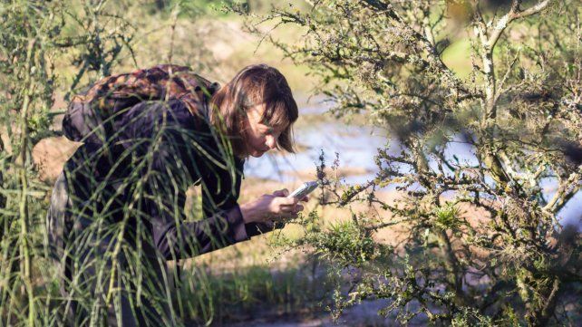 La investigadora María Eugenia Fenoglio descubrió tres especies de plantas inéditas para el Chaco.