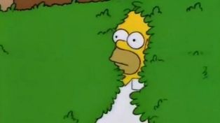 Una reconocida marca de zapatillas lanzará un modelo con un meme de Los Simpsons en el diseño.