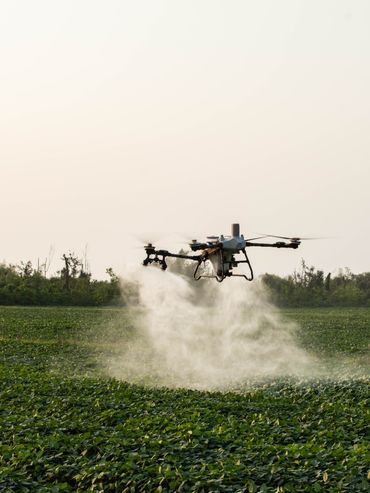Año Niño y drones: una solución para entrar al lote