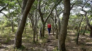 Las tierras del legado Deliot, ubicada en la zona de islas frente a Rosario.&nbsp;