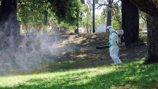 Trabajos de fumigación