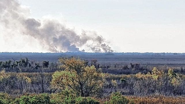 Nuevos incendios afectan el ambiente y los humedales
