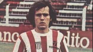Sabella