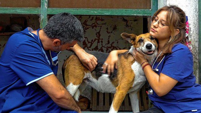 Veterinarios. Visitaron los refugios de perros Patitas y La Casita de Gualeguaychú.