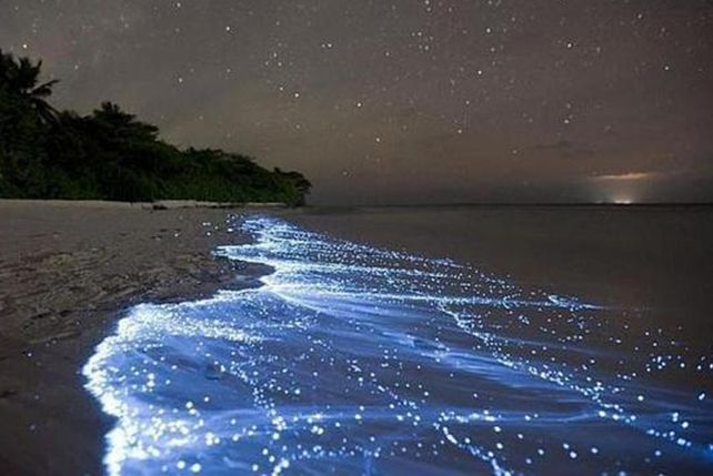 La increíble playa Vaadhoo, que brilla durante la noche