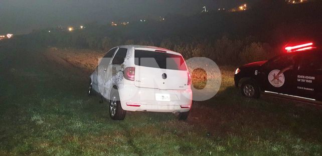 Dos autos chocaron dos vacas en la autopista Santa Fe - Rosario y lo pueden contar