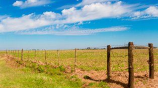 Proyecto de ley tributaria en Santa Fe: novedades para el agro en 2026