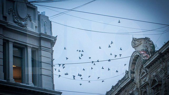 SMN: continúa&nbsp; el calor y el tiempo inestable