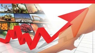 La actividad económica provincial se retrajo un 1,2 por ciento en todo 2014