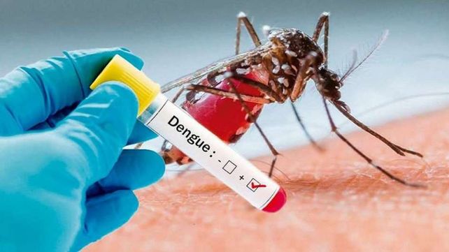 Fuerte suba de casos de dengue: confirman 84 infectados en la provincia de Santa Fe