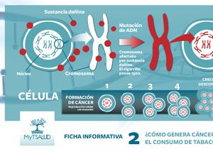 Cómo actúa el tabaco en la generación de cáncer