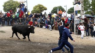 Incidentes en España tras la muerte a lanzazos de un toro en un cruel torneo