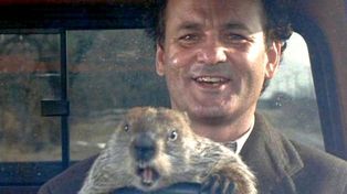 Bill Murray popularizó el Día de la Marmota en la película Hechizo en el tiempo.&nbsp;